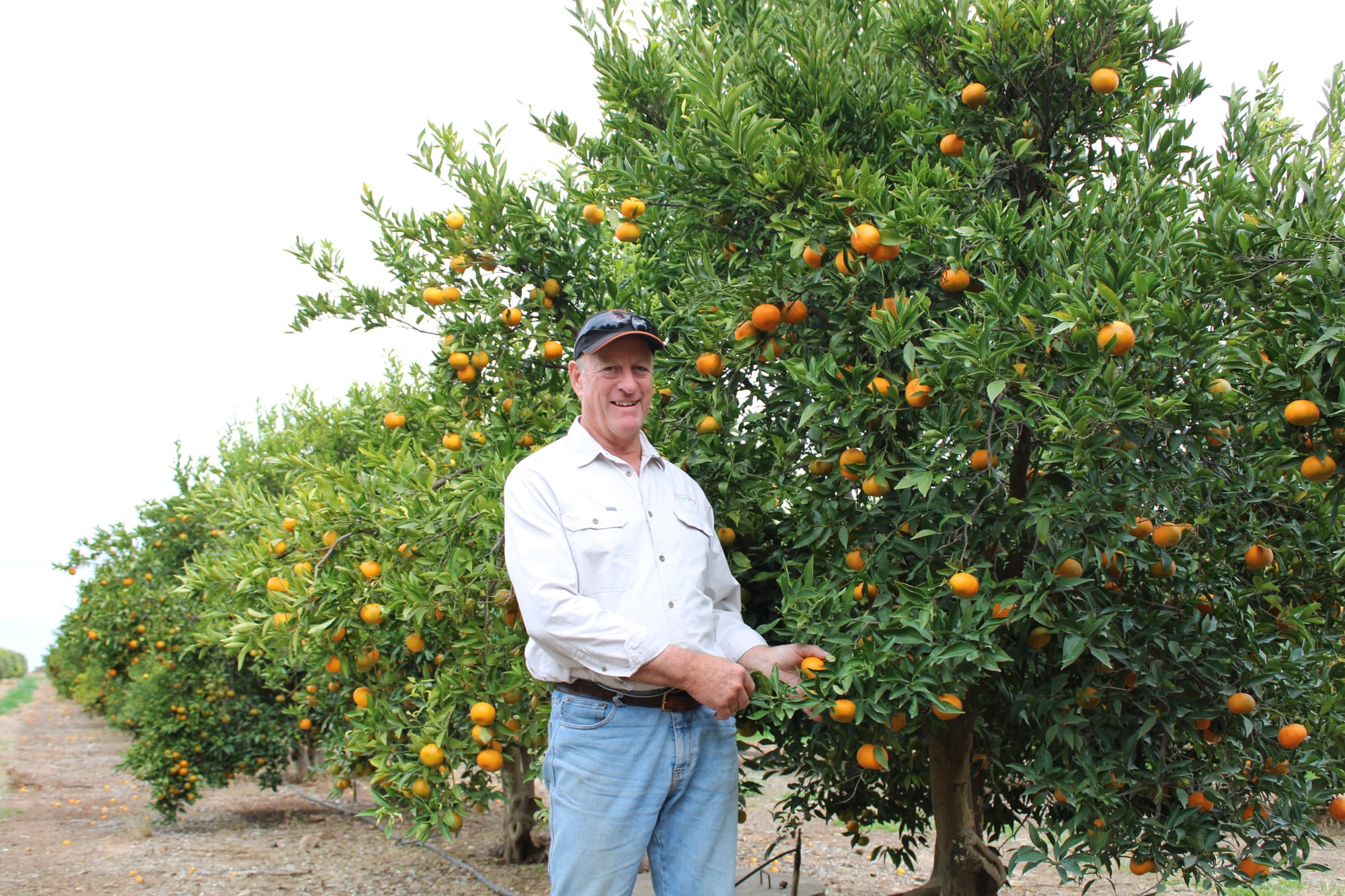 Industry Expert: Mark Doecke - Citrus SA chair