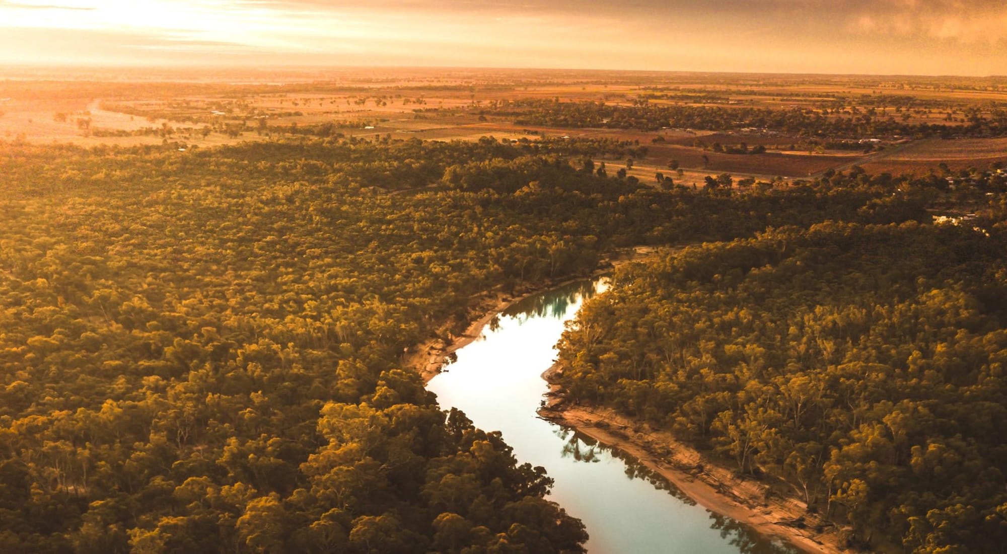 Record environmental flows for SA show Murray-Darling Basin Plan back on track