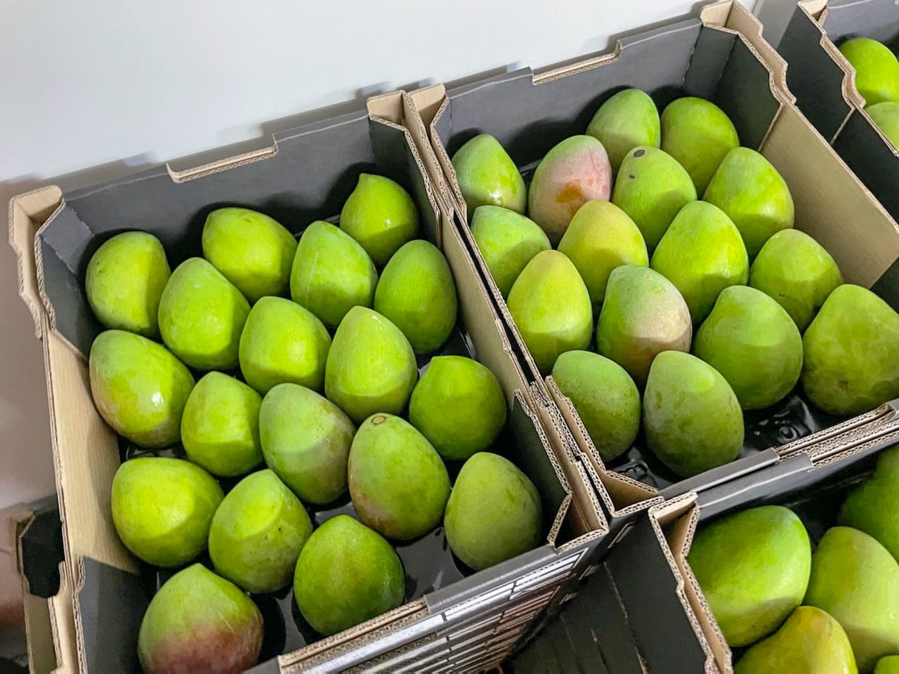 Riverland mangoes making an entrance… Mango-nificent