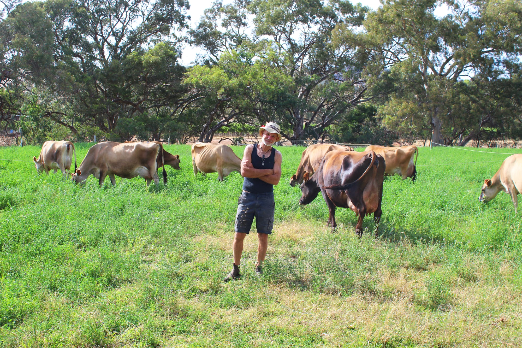 Old-school mixed farming the key to Michael's success