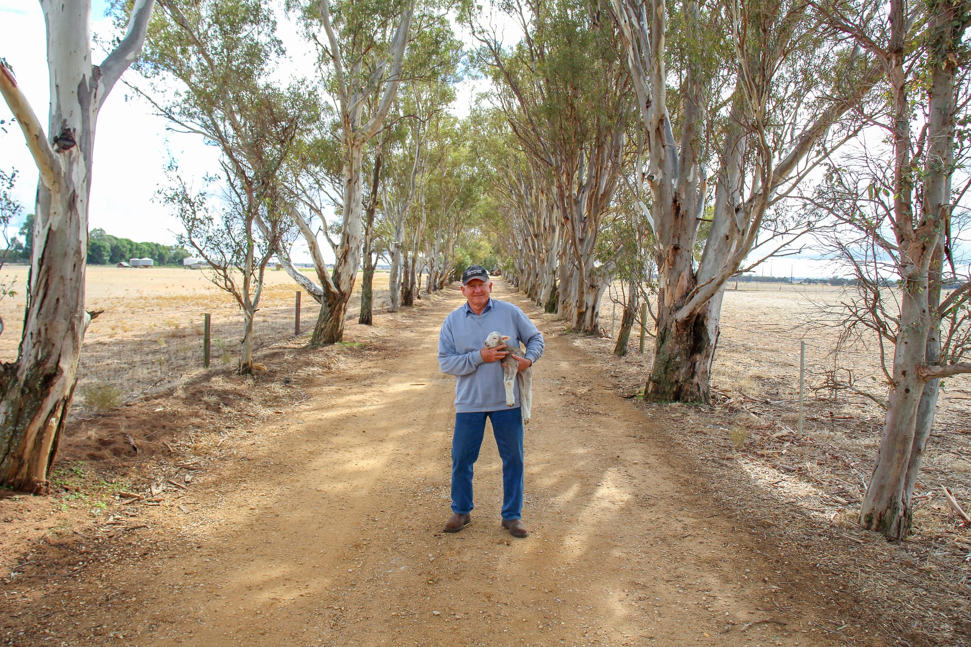 104 years of Newbold: Family first for sheep farming dynasty