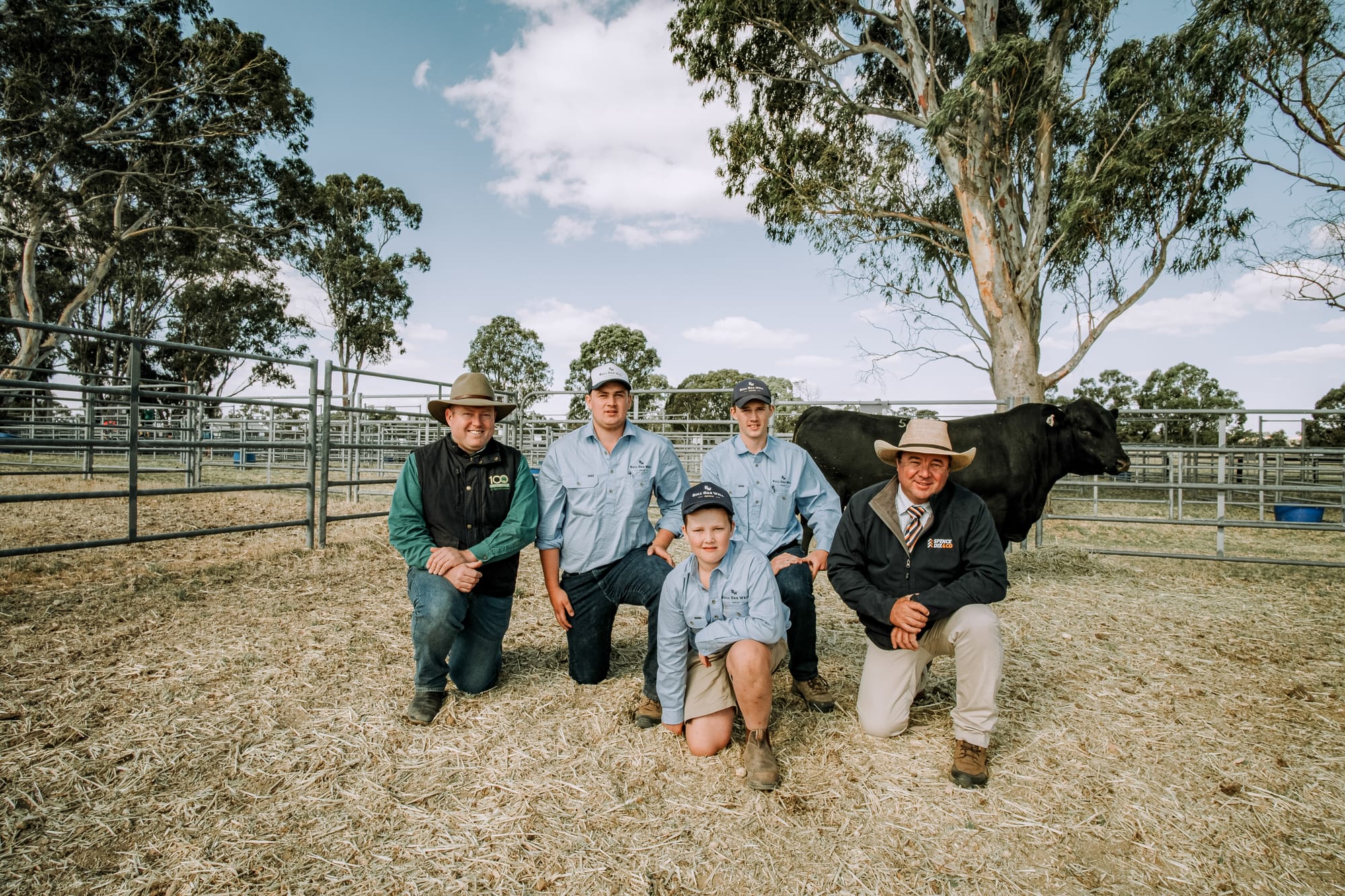 Bull Oak Well Angus goes from strength to strength