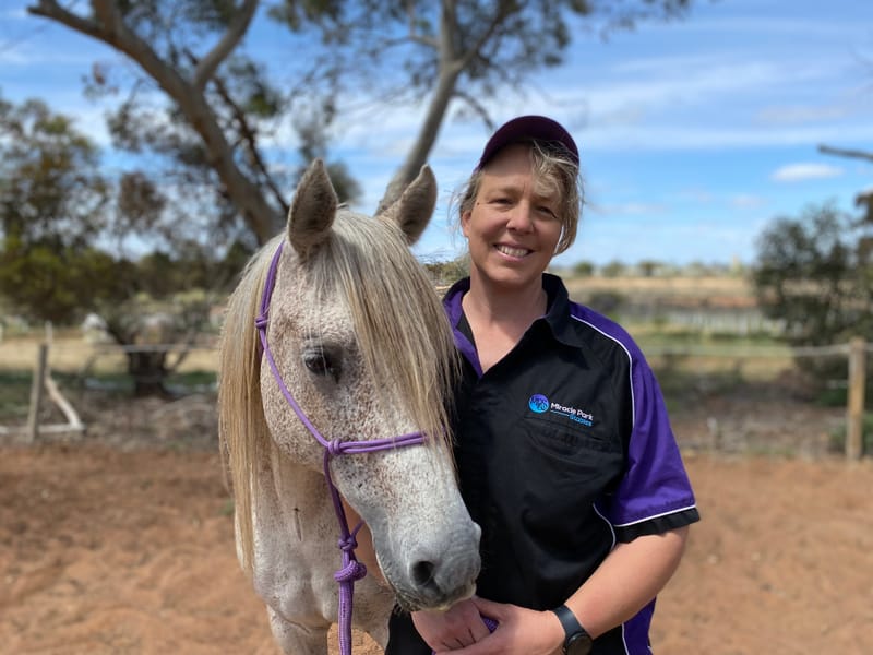 Mel’s Arabian therapy herd post image