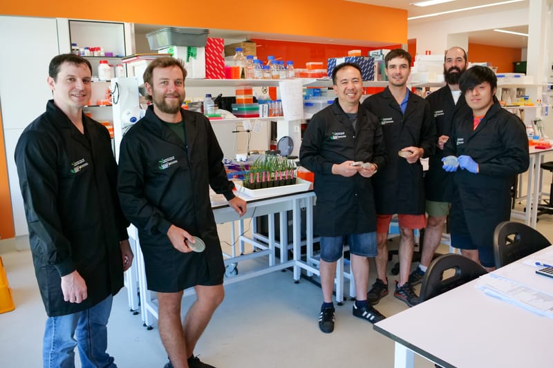 Research discovers key to crop pathogens post image